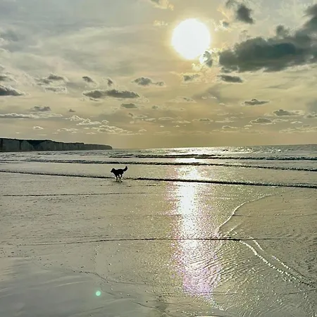 La Terrasse D'ault Appartement *